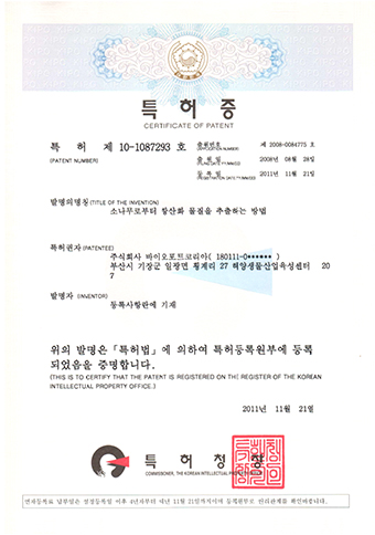 소나무로부터 항산화 물질을 추출하는 방법