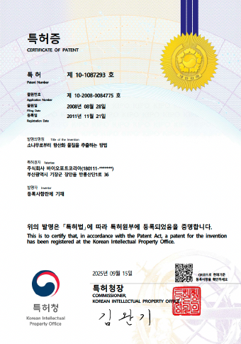소나무로부터 항산화 물질을 추출하는 방법