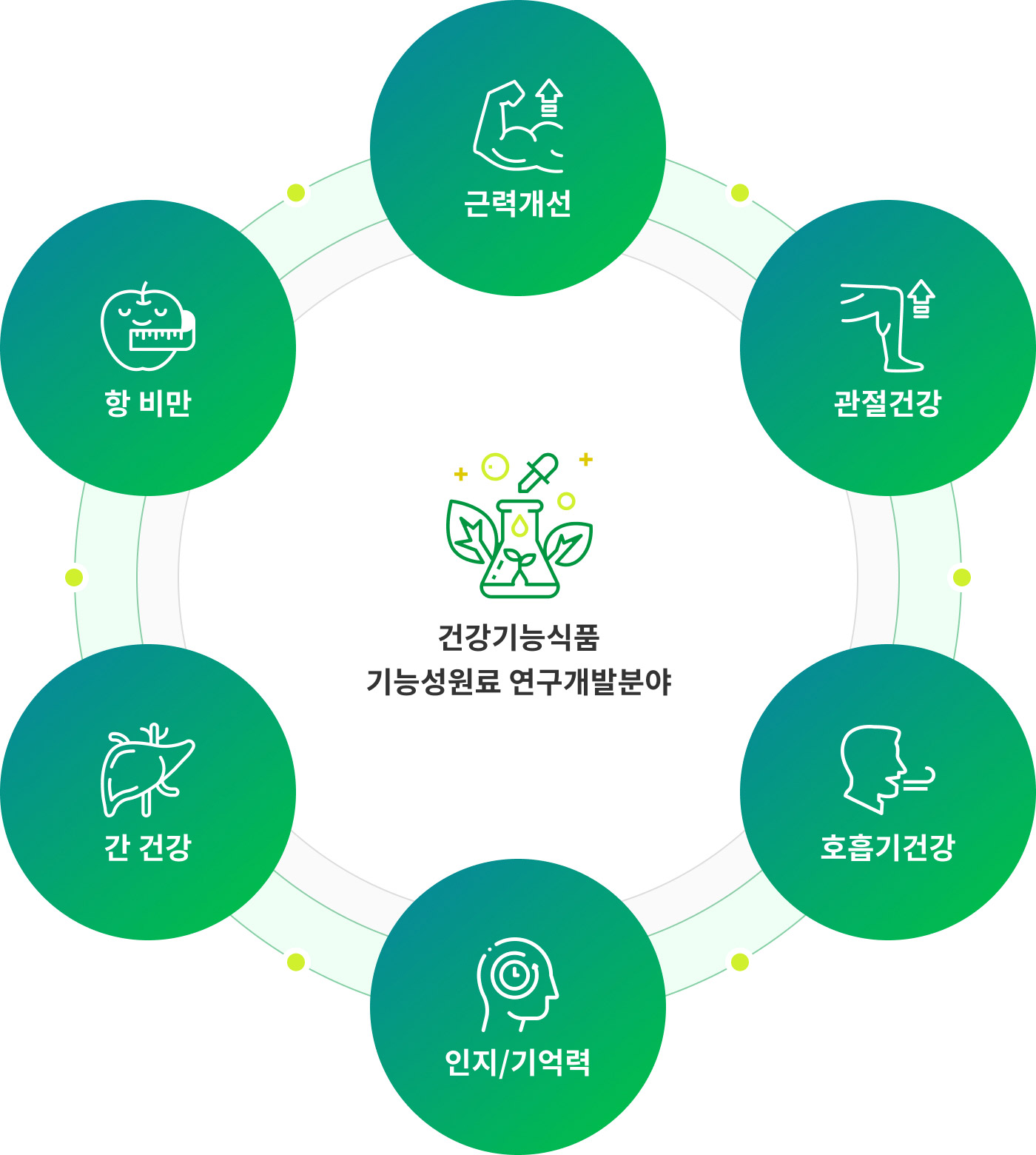 건강기능식품 기능성원료 연구개발분야 - 근력개선, 관절건강, 호흡기건강, 인지.기억력, 간 건강, 항 비만
